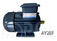 Motor điện 3 pha/Động cơ điện 3 pha- 270HP/6Poles